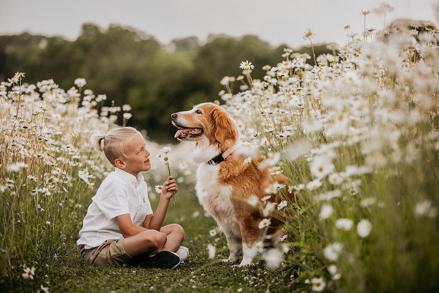 Dog photoshoot session in west sussex